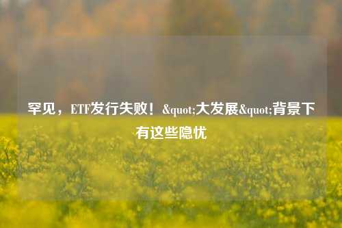 罕见，ETF发行失败！"大发展"背景下有这些隐忧  第1张