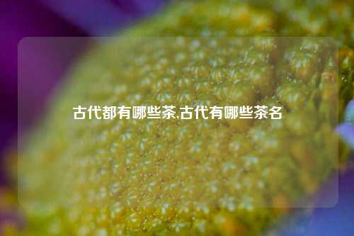 古代都有哪些茶,古代有哪些茶名