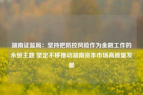 湖南证监局：坚持把防控风险作为金融工作的永恒主题 坚定不移推动湖南资本市场高质量发展  第1张