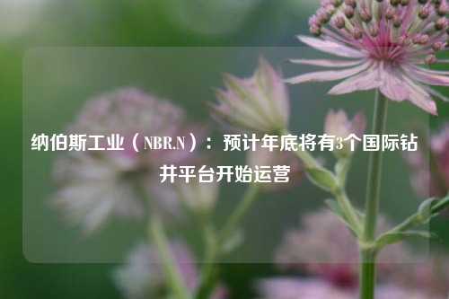 纳伯斯工业（NBR.N）：预计年底将有3个国际钻井平台开始运营  第1张