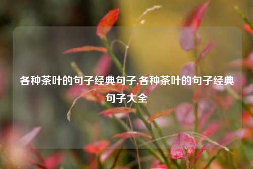 各种茶叶的句子经典句子,各种茶叶的句子经典句子大全  第1张