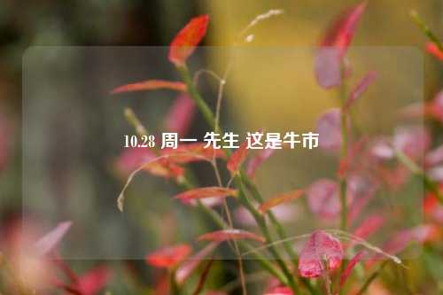 10.28 周一 先生 这是牛市