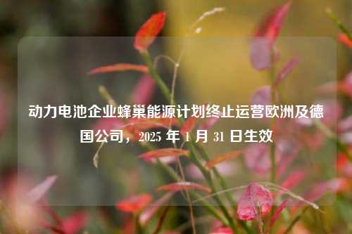 动力电池企业蜂巢能源计划终止运营欧洲及德国公司，2025 年 1 月 31 日生效