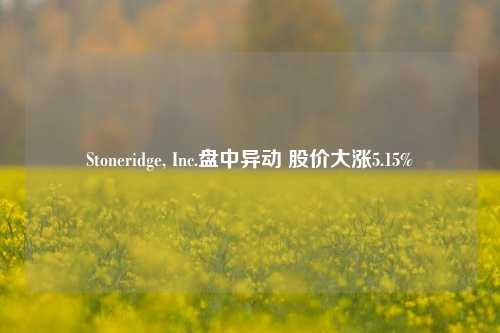 Stoneridge, Inc.盘中异动 股价大涨5.15%  第1张