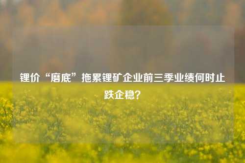 锂价“磨底”拖累锂矿企业前三季业绩何时止跌企稳？