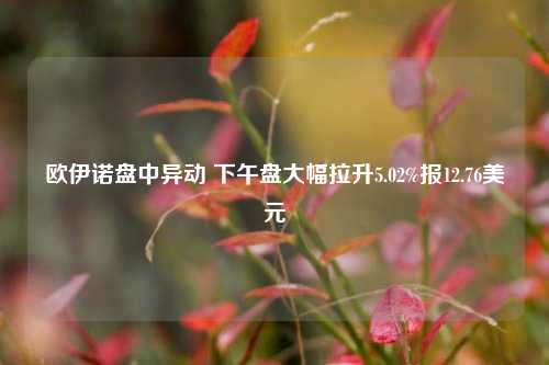 欧伊诺盘中异动 下午盘大幅拉升5.02%报12.76美元  第1张