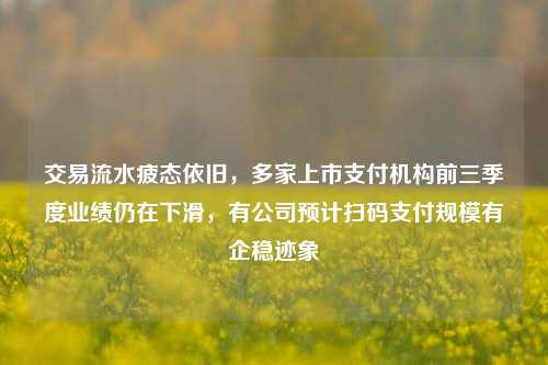 交易流水疲态依旧，多家上市支付机构前三季度业绩仍在下滑，有公司预计扫码支付规模有企稳迹象  第1张