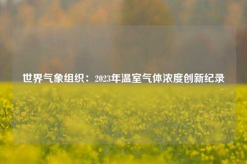 世界气象组织：2023年温室气体浓度创新纪录