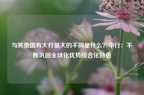 与其他国有大行最大的不同是什么？中行：不断巩固全球化优势综合化特色  第1张