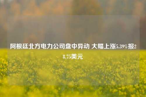 阿根廷北方电力公司盘中异动 大幅上涨5.39%报28.75美元