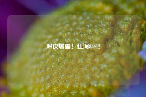 深夜爆雷！狂泻34%！  第1张