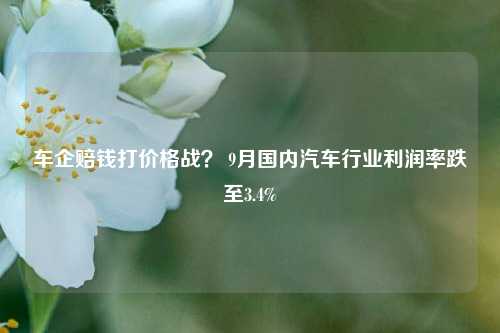 车企赔钱打价格战？ 9月国内汽车行业利润率跌至3.4%