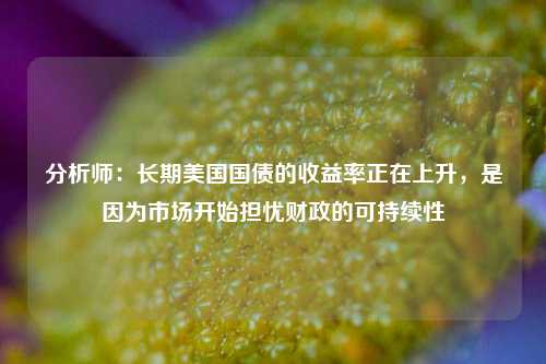 分析师：长期美国国债的收益率正在上升，是因为市场开始担忧财政的可持续性  第1张