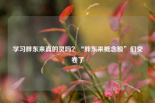 学习胖东来真的灵吗？“胖东来概念股”们交卷了  第1张