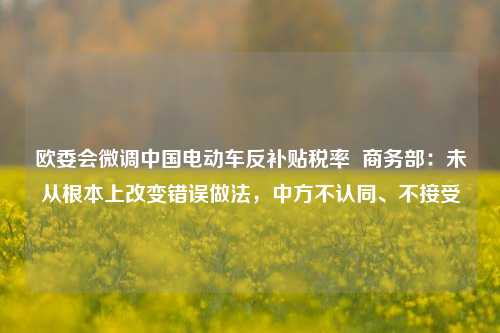 欧委会微调中国电动车反补贴税率  商务部：未从根本上改变错误做法，中方不认同、不接受 第1张