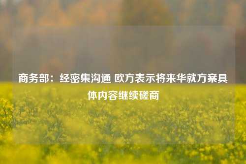 商务部：经密集沟通 欧方表示将来华就方案具体内容继续磋商