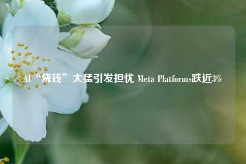 AI“烧钱”太猛引发担忧 Meta Platforms跌近3%  第1张