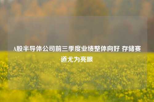 A股半导体公司前三季度业绩整体向好 存储赛道尤为亮眼