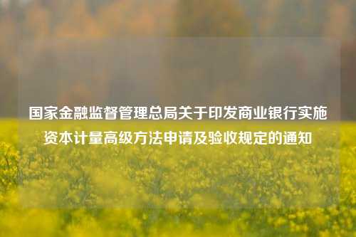 国家金融监督管理总局关于印发商业银行实施资本计量高级方法申请及验收规定的通知