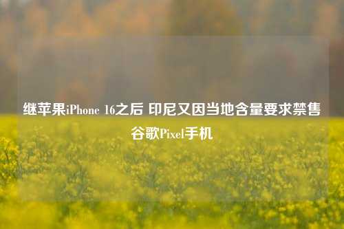 继苹果iPhone 16之后 印尼又因当地含量要求禁售谷歌Pixel手机