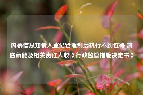 内幕信息知情人登记管理制度执行不到位等 凯盛新能及相关责任人收《行政监管措施决定书》