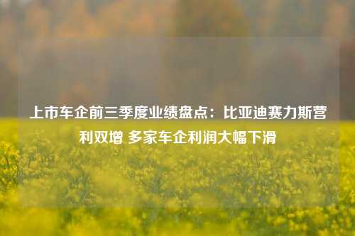 上市车企前三季度业绩盘点：比亚迪赛力斯营利双增 多家车企利润大幅下滑  第1张