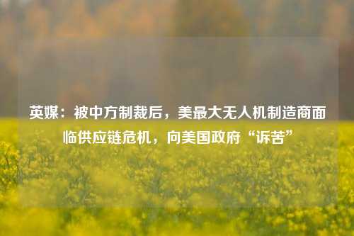 英媒：被中方制裁后，美最大无人机制造商面临供应链危机，向美国政府“诉苦”