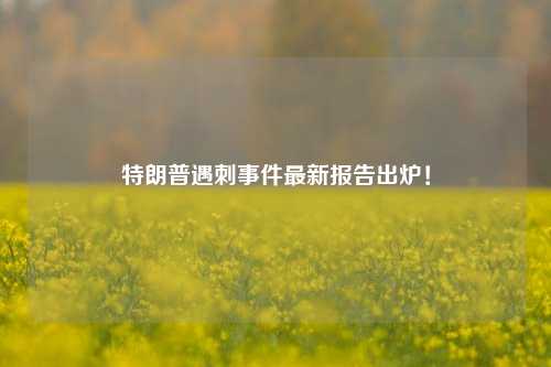 特朗普遇刺事件最新报告出炉！  第1张