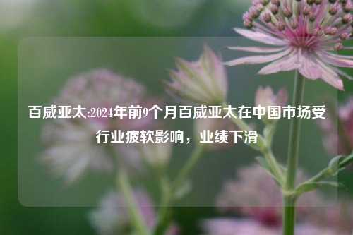 百威亚太:2024年前9个月百威亚太在中国市场受行业疲软影响，业绩下滑  第1张