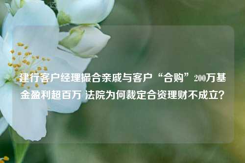 建行客户经理撮合亲戚与客户“合购”200万基金盈利超百万 法院为何裁定合资理财不成立？  第1张