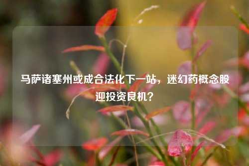 马萨诸塞州或成合法化下一站，迷幻药概念股迎投资良机？  第1张