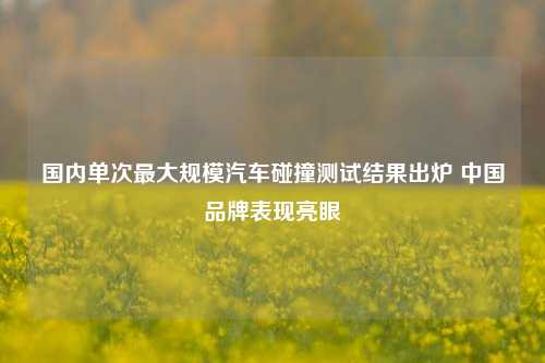 国内单次最大规模汽车碰撞测试结果出炉 中国品牌表现亮眼  第1张