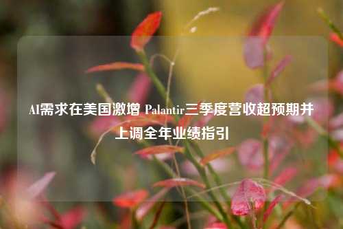 AI需求在美国激增 Palantir三季度营收超预期并上调全年业绩指引