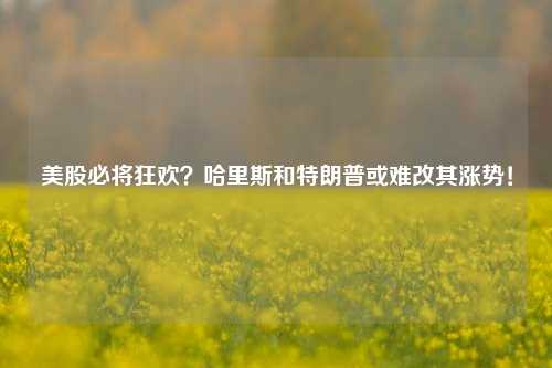 美股必将狂欢？哈里斯和特朗普或难改其涨势！  第1张