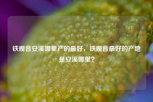 铁观音安溪哪里产的最好，铁观音最好的产地是安溪哪里？