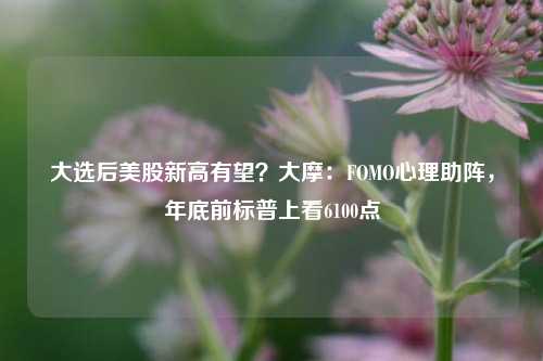 大选后美股新高有望？大摩：FOMO心理助阵，年底前标普上看6100点  第1张