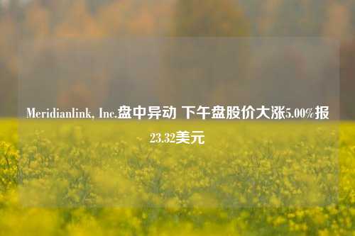 Meridianlink, Inc.盘中异动 下午盘股价大涨5.00%报23.32美元  第1张