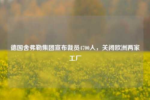 德国舍弗勒集团宣布裁员4700人，关闭欧洲两家工厂