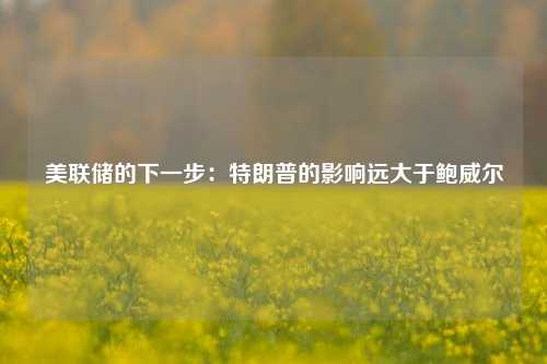 美联储的下一步：特朗普的影响远大于鲍威尔  第1张