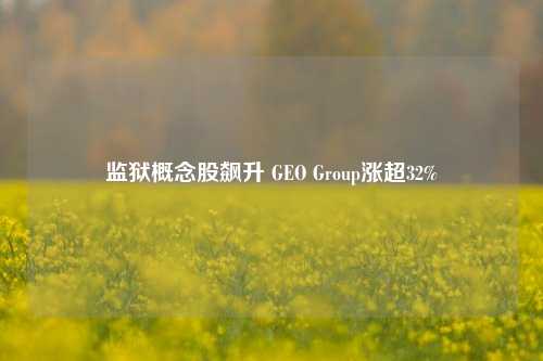 监狱概念股飙升 GEO Group涨超32%  第1张