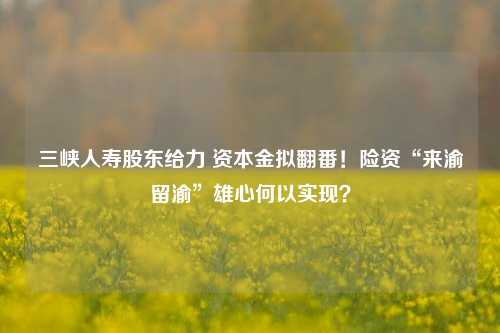 三峡人寿股东给力 资本金拟翻番！险资“来渝留渝”雄心何以实现？  第1张