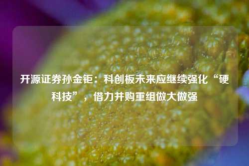 开源证券孙金钜：科创板未来应继续强化“硬科技”，借力并购重组做大做强