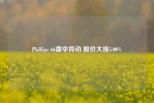 Phillips 66盘中异动 股价大涨5.00%