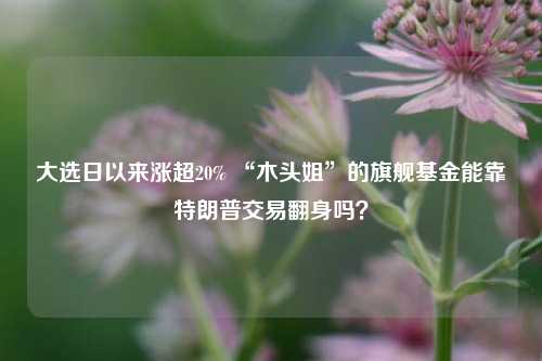 大选日以来涨超20% “木头姐”的旗舰基金能靠特朗普交易翻身吗？