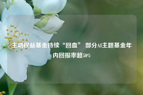 主动权益基金持续“回血” 部分AI主题基金年内回报率超50%