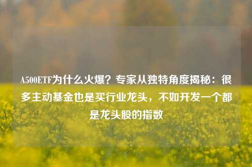 A500ETF为什么火爆？专家从独特角度揭秘：很多主动基金也是买行业龙头，不如开发一个都是龙头股的指数