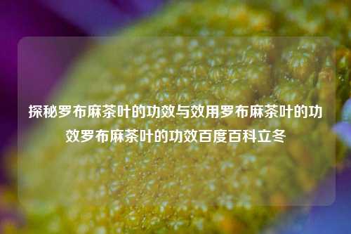 探秘罗布麻茶叶的功效与效用