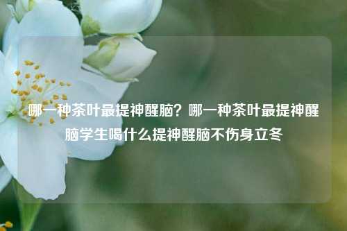 哪一种茶叶最提神醒脑？哪一种茶叶最提神醒脑学生喝什么提神醒脑不伤身立冬