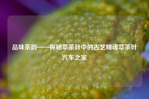 品味茶韵——探秘萃茶叶中的古艺精魂萃茶叶汽车之家