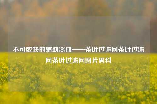 不可或缺的辅助器皿——茶叶过滤网茶叶过滤网茶叶过滤网图片男科